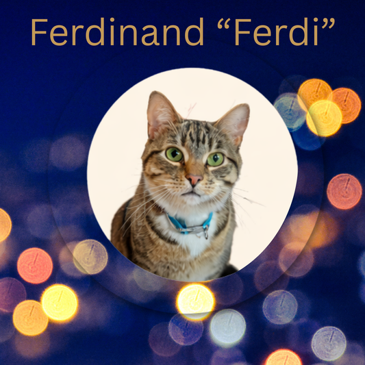 Ferdi- Chocolate Truffle, Caramel & Sprinkles Loose Leaf Tea