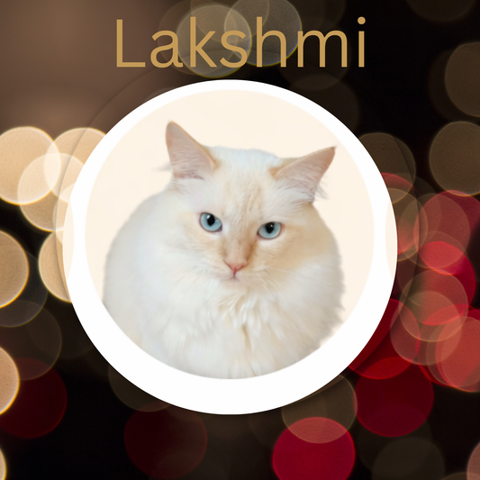 Lakshmi- White Peony, Rooibos Earl Grey & Peach Serenity Loose Leaf Tea