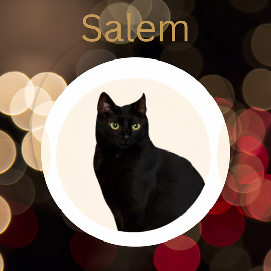 Salem- Chocolate Chai Pu-erh & Honeybush Vanilla Loose Leaf Tea