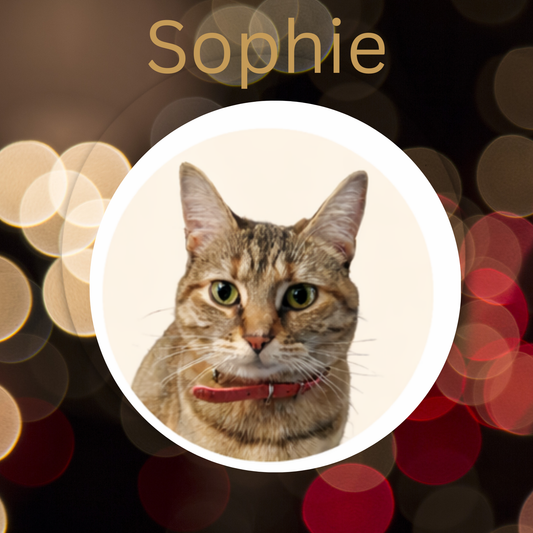 Sophie- Lavender Lemon & Green Rooibos Bonita Loose Leaf Tea