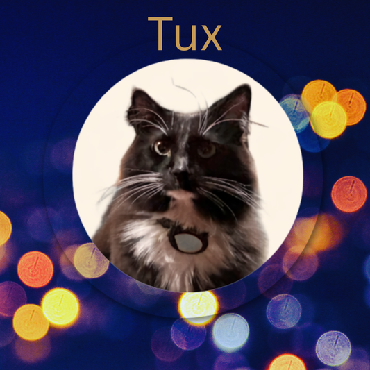 Tux- Chocolate & Cream Loose Leaf Tea