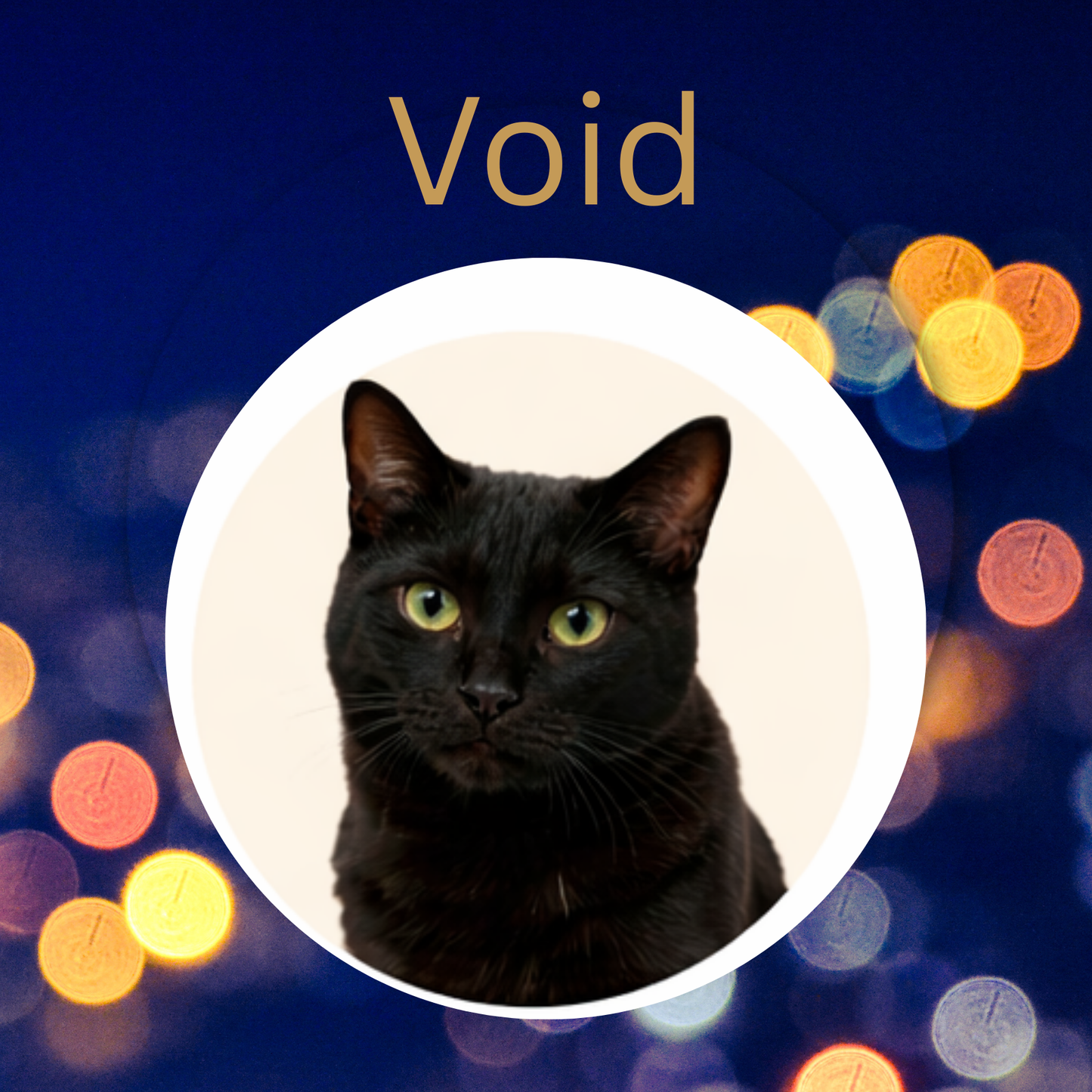 Void-Gingerbread & Pu erh Chorange Loose Leaf Tea
