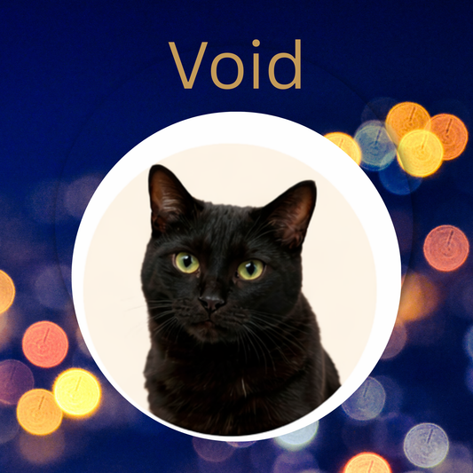 Void-Gingerbread & Pu erh Chorange Loose Leaf Tea